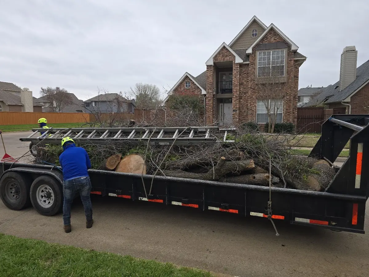 Expert Deadwooding with proper safety equipment in Chanute